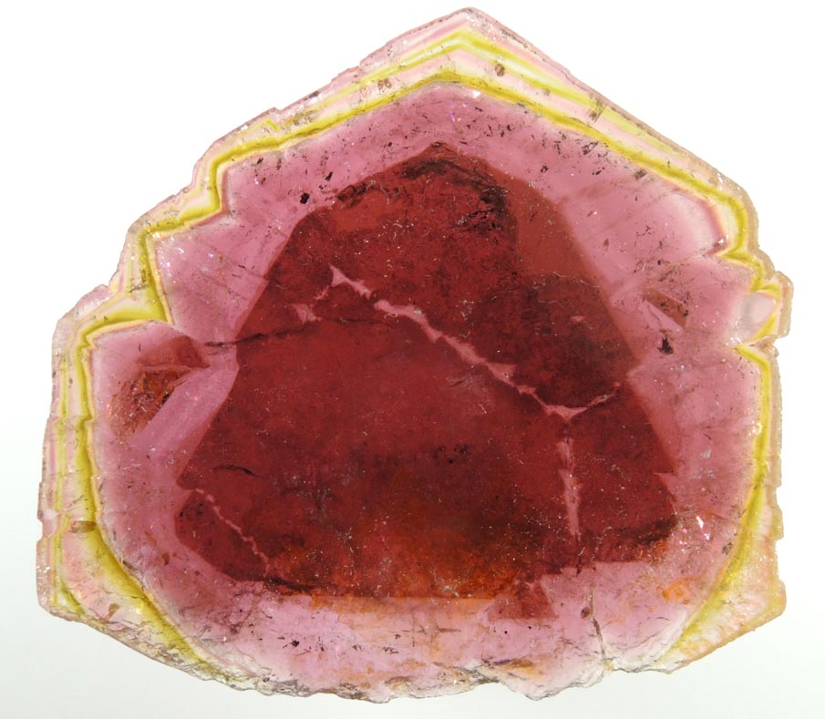 Liddicoatite Tourmaline (polished slice) from Alakamisy Itenina, south of Antsirab, Fianarantsoa, Haute Matsiatra, Madagascar (Type Locality for Liddicoatite = near Antsirab)