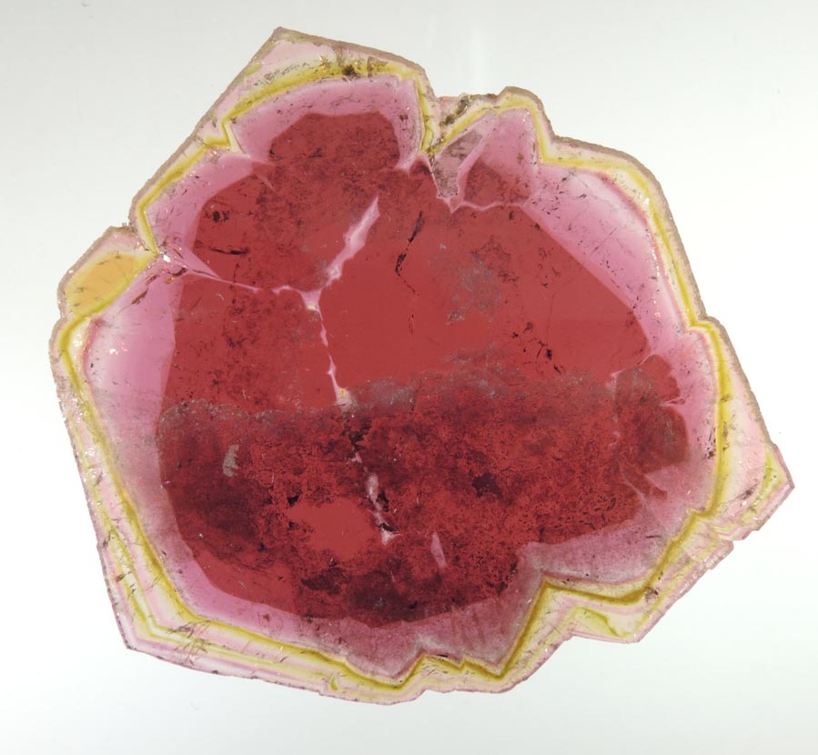 Liddicoatite Tourmaline (polished slice) from Alakamisy Itenina, south of Antsirab, Fianarantsoa, Haute Matsiatra, Madagascar (Type Locality for Liddicoatite = near Antsirab)