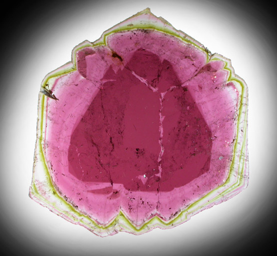 Liddicoatite Tourmaline from Alakamisy Itenina, south of Antsirab, Fianarantsoa, Haute Matsiatra, Madagascar (Type Locality for Liddicoatite = near Antsirab)