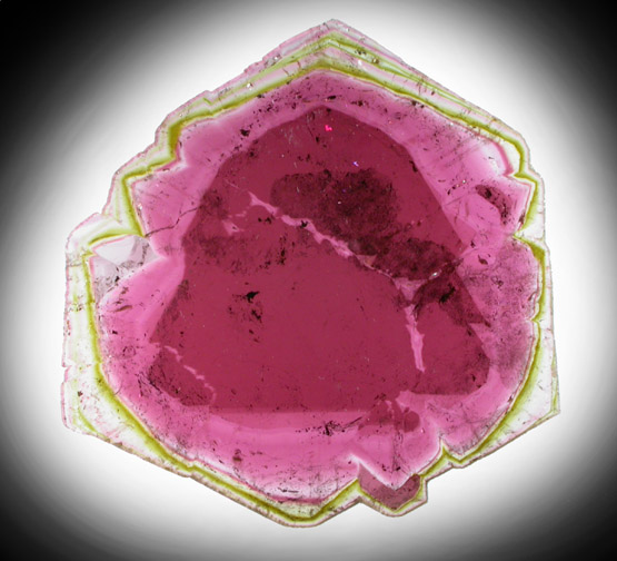 Liddicoatite Tourmaline from Alakamisy Itenina, south of Antsirabe, Fianarantsoa, Haute Matsiatra, Madagascar (Type Locality for Liddicoatite = near Antsirab)