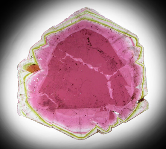 Liddicoatite Tourmaline from Alakamisy Itenina, south of Antsirabe, Fianarantsoa, Haute Matsiatra, Madagascar (Type Locality for Liddicoatite = near Antsirab)