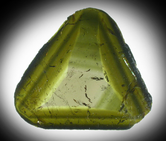 Liddicoatite Tourmaline from Alakamisy Itenina, south of Antsirab, Fianarantsoa, Haute Matsiatra, Madagascar (Type Locality for Liddicoatite = near Antsirab)