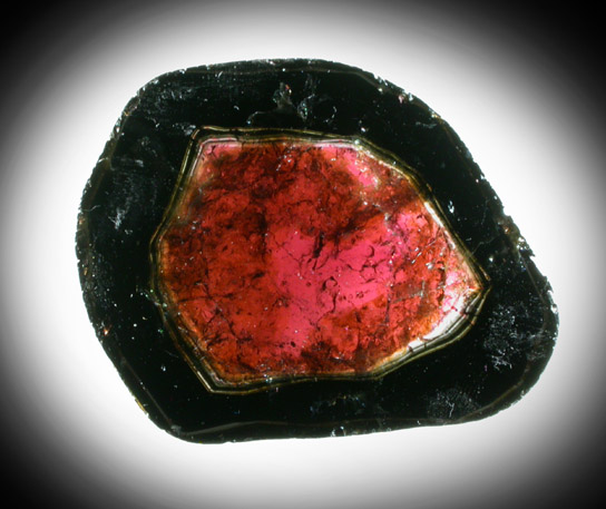 Liddicoatite Tourmaline from Alakamisy Itenina, south of Antsirab, Fianarantsoa, Haute Matsiatra, Madagascar (Type Locality for Liddicoatite = near Antsirab)