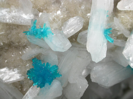 Cavansite on Stilbite-Ca from Wagholi Quarry, Maharashtra, India