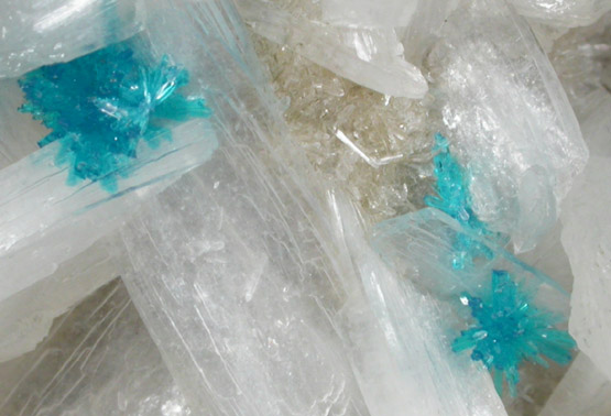 Cavansite on Stilbite-Ca from Wagholi Quarry, Maharashtra, India