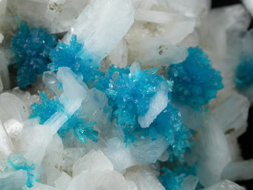 Cavansite on Stilbite-Ca from Wagholi Quarry, Maharashtra, India