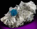 Cavansite on Stilbite-Ca from Wagholi Quarry, Maharashtra, India