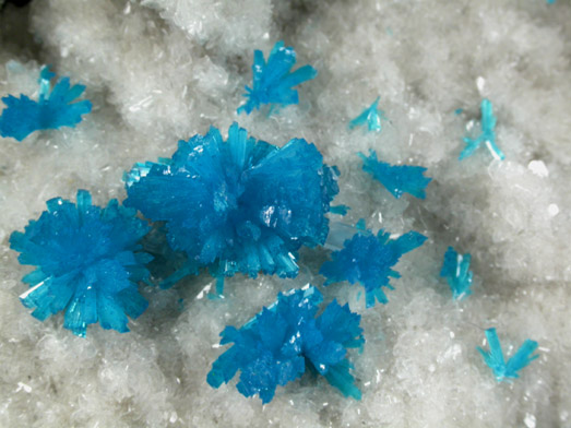 Cavansite on Stilbite-Ca from Wagholi Quarry, Maharashtra, India