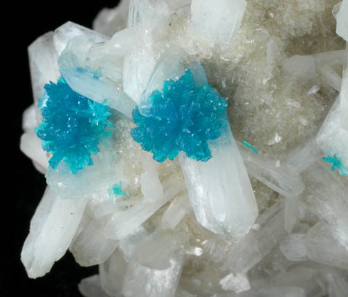 Cavansite on Stilbite-Ca from Wagholi Quarry, Maharashtra, India