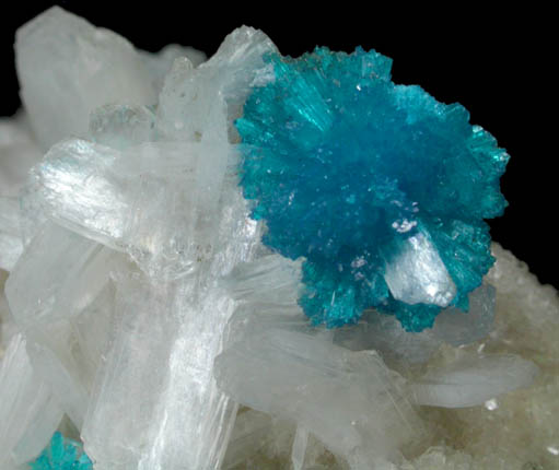 Cavansite on Stilbite-Ca from Wagholi Quarry, Maharashtra, India