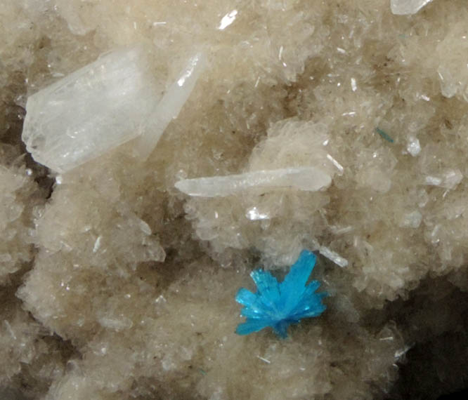 Cavansite on Stilbite-Ca from Wagholi Quarry, Maharashtra, India