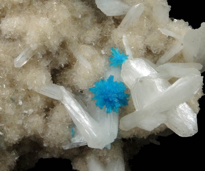 Cavansite on Stilbite-Ca from Wagholi Quarry, Maharashtra, India