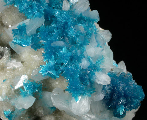 Cavansite on Stilbite-Ca from Wagholi Quarry, Maharashtra, India