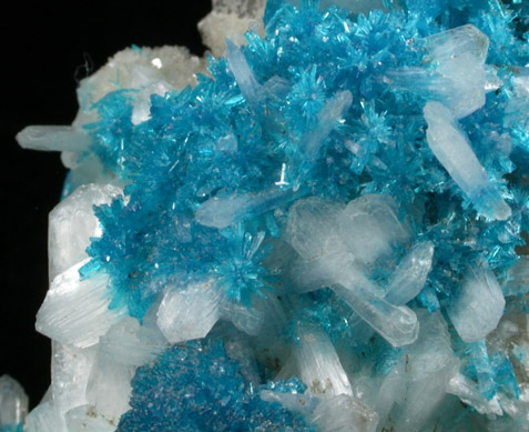 Cavansite on Stilbite-Ca from Wagholi Quarry, Maharashtra, India