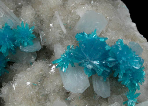 Cavansite on Stilbite-Ca from Wagholi Quarry, Maharashtra, India