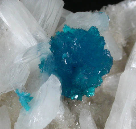 Cavansite on Stilbite-Ca from Wagholi Quarry, Maharashtra, India