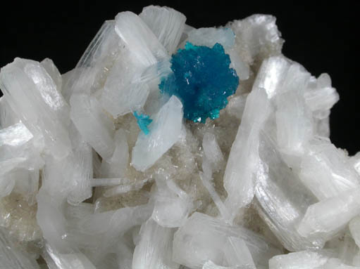 Cavansite on Stilbite-Ca from Wagholi Quarry, Maharashtra, India