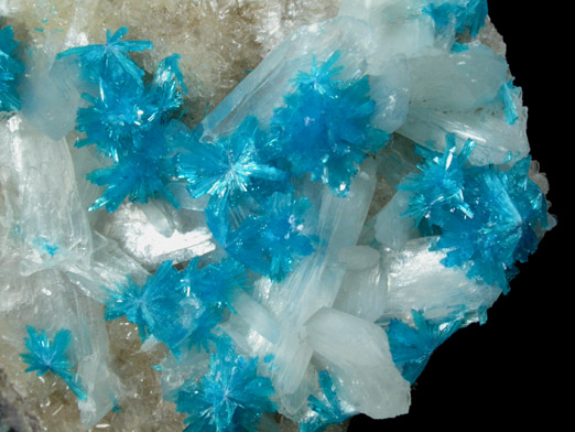 Cavansite on Stilbite-Ca from Wagholi Quarry, Maharashtra, India