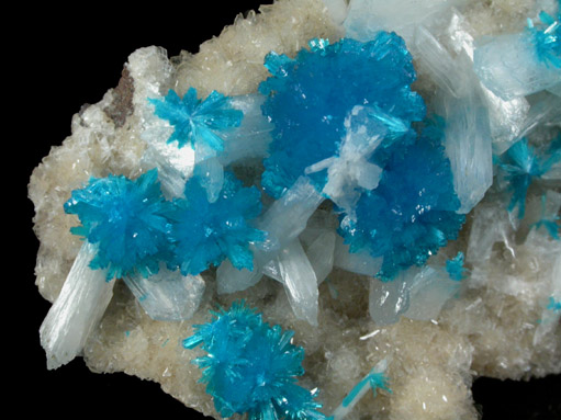 Cavansite on Stilbite-Ca from Wagholi Quarry, Maharashtra, India