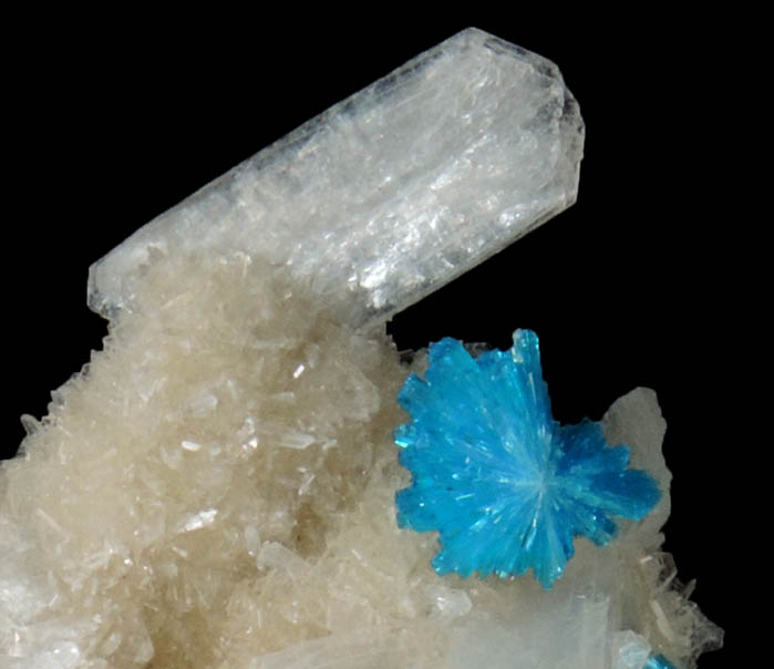 Cavansite on Stilbite-Ca from Wagholi Quarry, Maharashtra, India