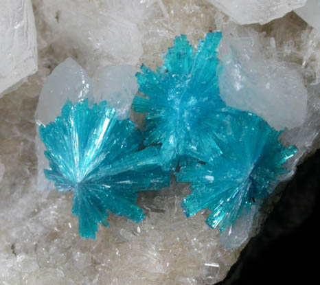 Cavansite on Stilbite-Ca from Wagholi Quarry, Maharashtra, India