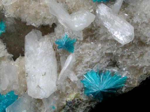 Cavansite on Stilbite-Ca from Wagholi Quarry, Maharashtra, India