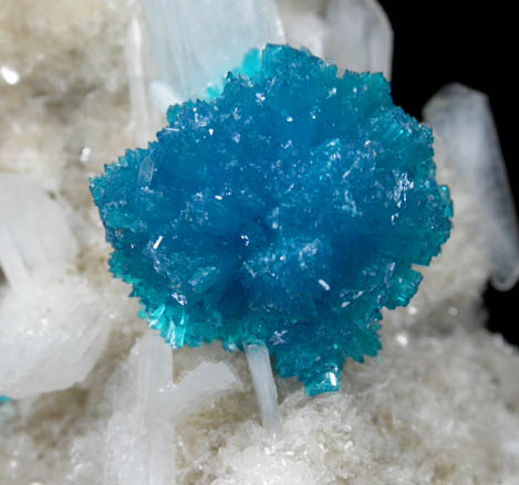 Cavansite on Stilbite-Ca from Wagholi Quarry, Maharashtra, India