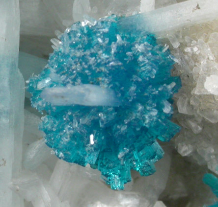 Cavansite on Stilbite-Ca from Wagholi Quarry, Maharashtra, India