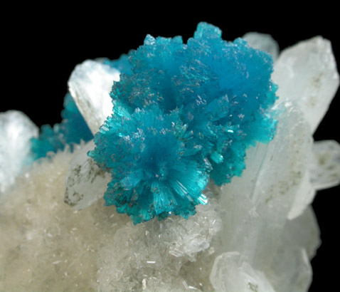 Cavansite on Stilbite-Ca from Wagholi Quarry, Maharashtra, India