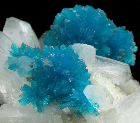 Cavansite on Stilbite-Ca from Wagholi Quarry, Maharashtra, India