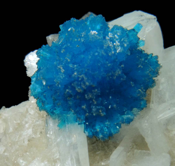 Cavansite on Stilbite-Ca from Wagholi Quarry, Maharashtra, India