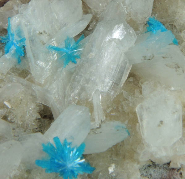 Cavansite on Stilbite-Ca from Wagholi Quarry, Maharashtra, India