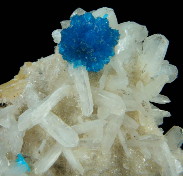 Cavansite on Stilbite-Ca from Wagholi Quarry, Maharashtra, India