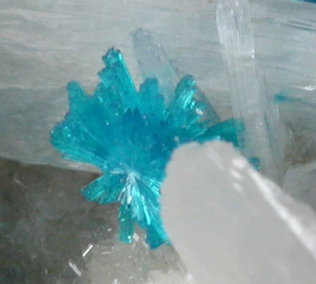 Cavansite on Stilbite-Ca from Wagholi Quarry, Maharashtra, India