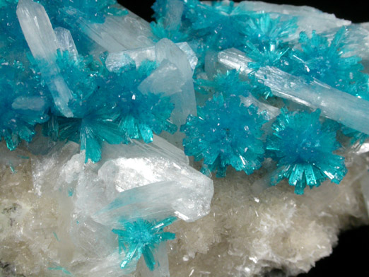 Cavansite on Stilbite-Ca from Wagholi Quarry, Maharashtra, India