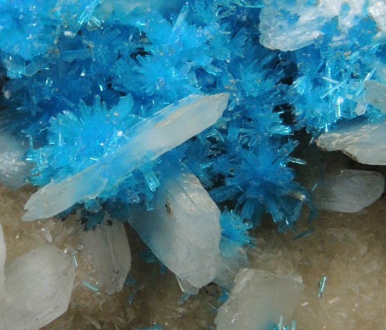 Cavansite on Stilbite-Ca from Wagholi Quarry, Maharashtra, India