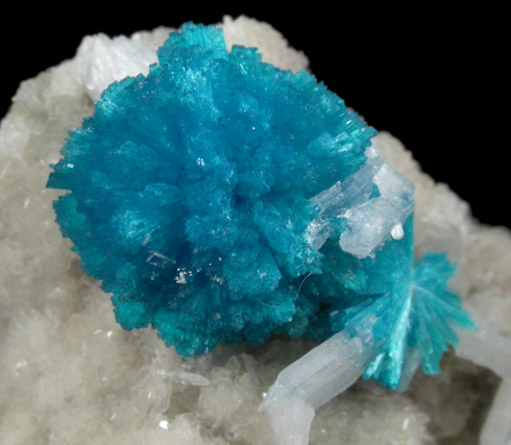 Cavansite on Stilbite-Ca from Wagholi Quarry, Maharashtra, India