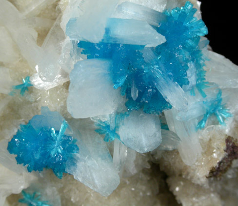 Cavansite on Stilbite-Ca from Wagholi Quarry, Maharashtra, India