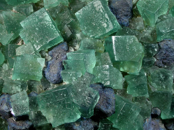 Fluorite with Galena from Rogerley Mine, Dodgy Bugger Pocket, West Cross Cut, County Durham, England