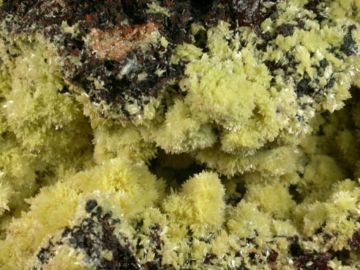 Mimetite from Santa Eulalia District, Aquiles Serdn, Chihuahua, Mexico