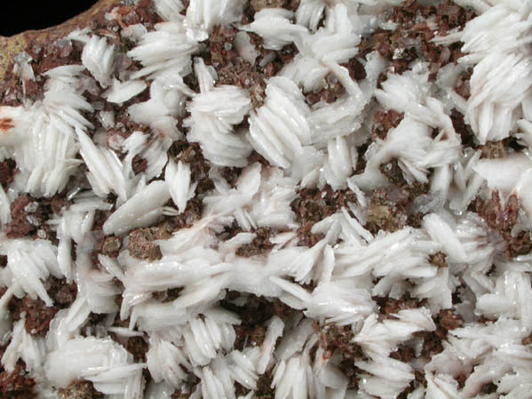 Barite, Calcite, Quartz from Taff's Well Quarry, 9 km northwest of Cardiff, Pentyrch, MidGlamorgan, Wales