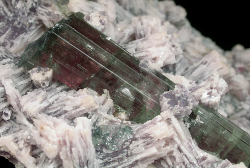 Elbaite Tourmaline and Lepidolite from Barra do Salinas, Coronel Murta, Minas Gerais, Brazil