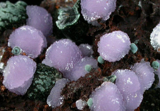 Strengite and Rockbridgeite on Beraunite from Leveniemi Mine, Svappavaara, Kiruna district, Sweden