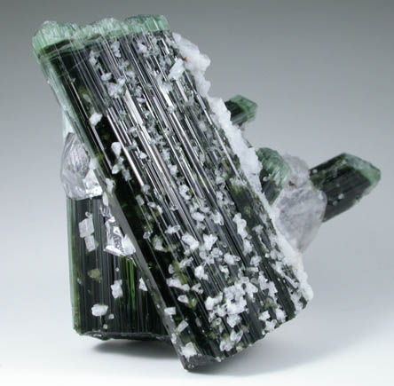 Elbaite Tourmaline, Quartz, Albite from Shengus, Gilgit-Skardu Road, Gilgit-Baltistan, Pakistan