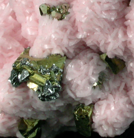 Rhodochrosite, Chalcopyrite, Tetrahedrite, Quartz from Pasto Bueno District, Ancash Department, Peru