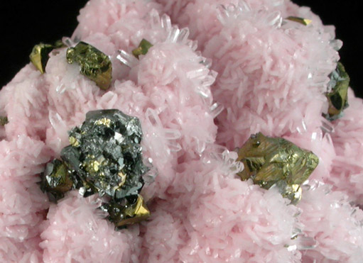 Rhodochrosite, Chalcopyrite, Tetrahedrite, Quartz from Pasto Bueno District, Ancash Department, Peru