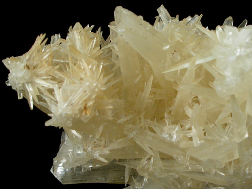 Calcite from Naica District, Saucillo, Chihuahua, Mexico