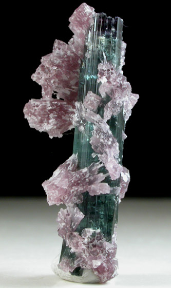 Elbaite Tourmaline and Lepidolite from Pederneira Mine, Sao Jose da Safira, Minas Gerais, Brazil