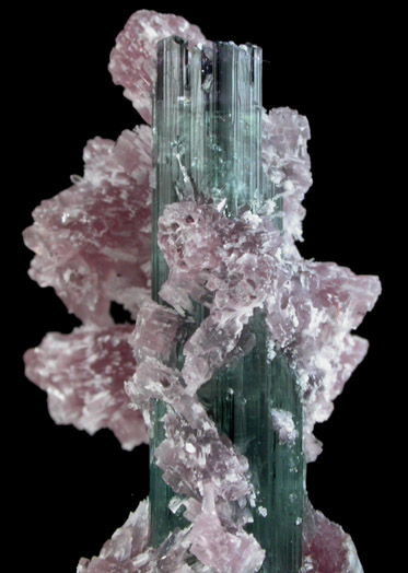 Elbaite Tourmaline and Lepidolite from Pederneira Mine, Sao Jose da Safira, Minas Gerais, Brazil