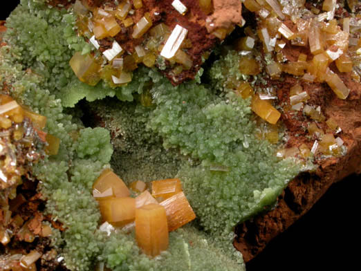 Wulfenite and Mimetite from Mina Ojuela, San Juan Poniente Vein, Level 6, Mapimi, Durango, Mexico